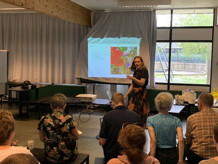 Billede fra workshop om Grønningen den 18. juni 2024